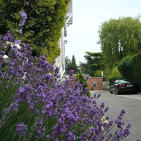 Du Croise 3*